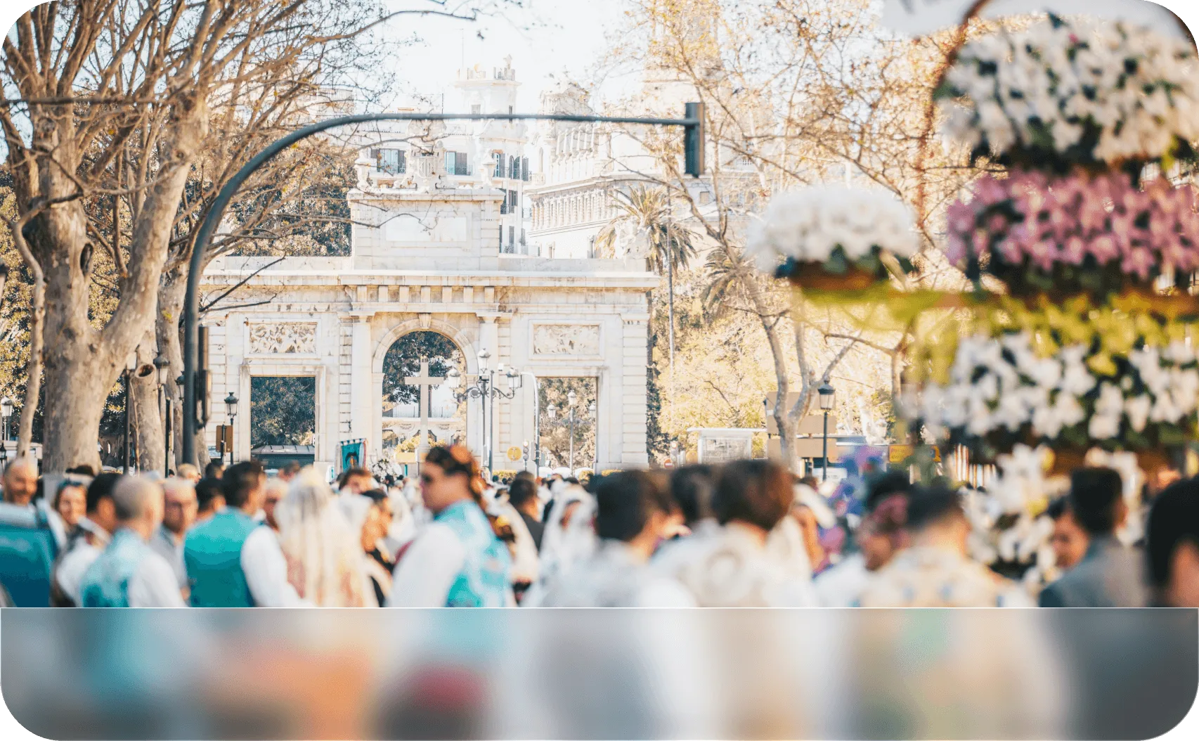 Synnova sarlavhasi yon tomonining yuqori qismi